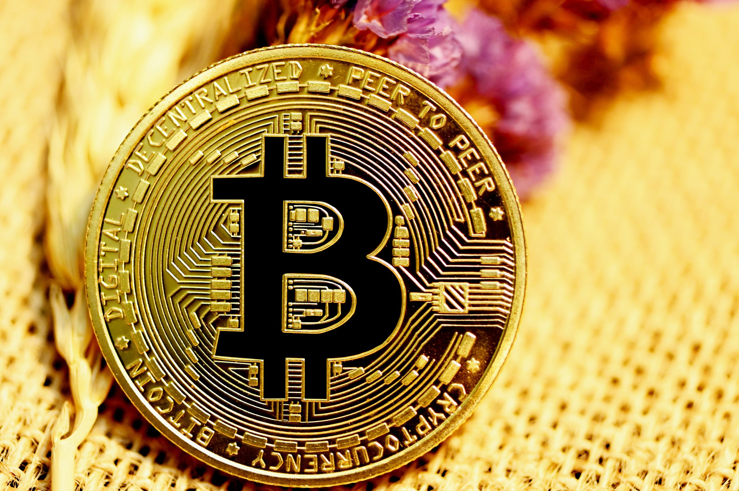 $1 Million Advance Paid To Artist In Bitcoin