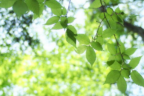 The Music Industry Commits To Net-Zero Emissions By 2050